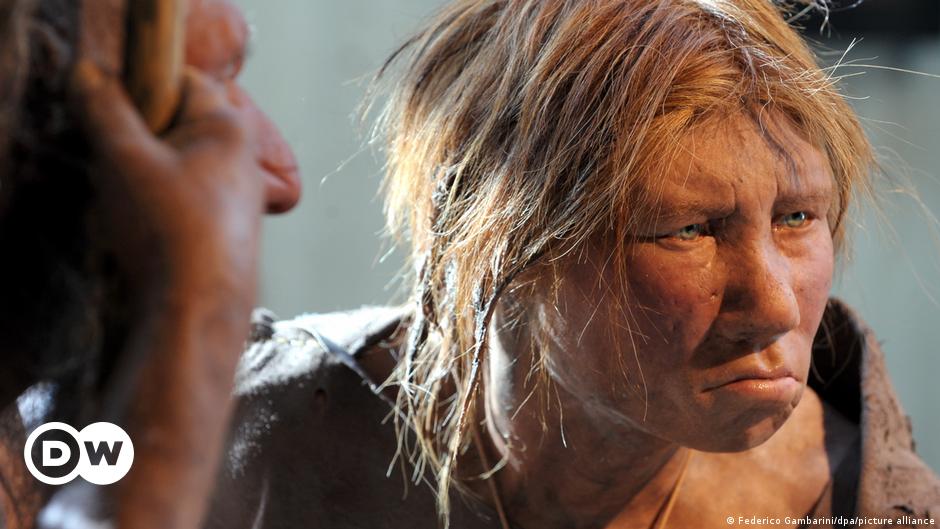 Neanderthal fossils found near Rome |  News from science to improve the quality of life |  DW