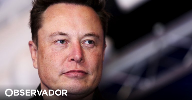 "He's a selfish hustler."  Cryptocurrency creator Dogecoin slams Elon Musk - Observer