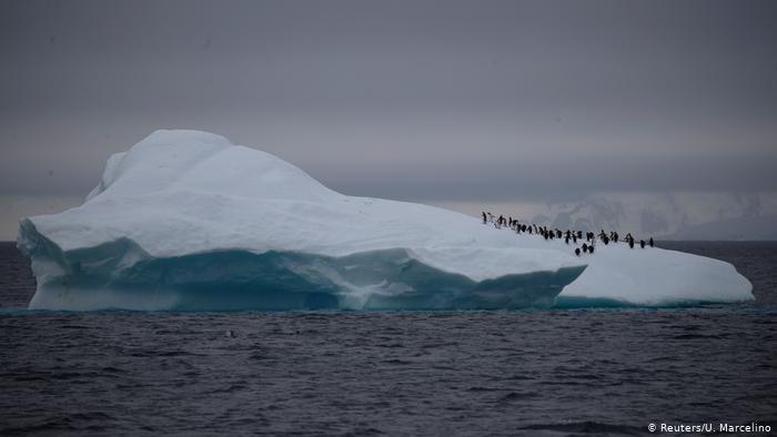 Penguins on a big block of ice