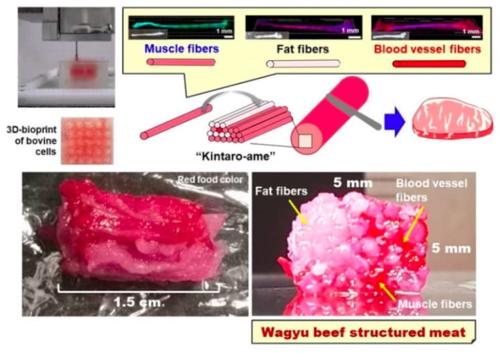 An image of the 3D printing process of wagyū meat