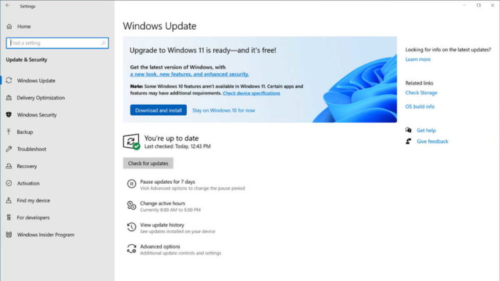 Windows 11 Microsoft Insiders . Release