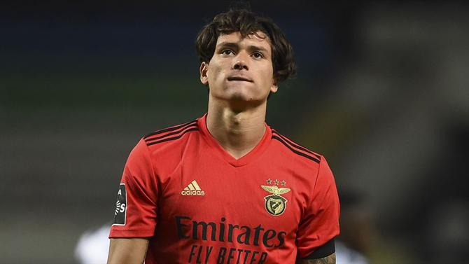 Ball - “Benfica was looking to hire Darwin” (Benfica)
