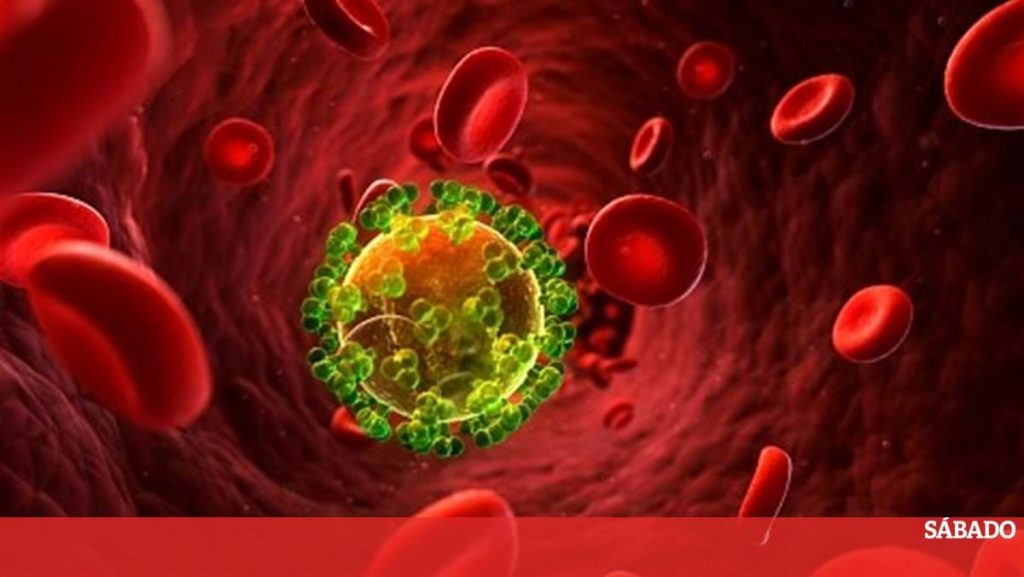 Another woman beat HIV 'naturally' - Science and Health