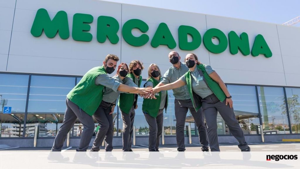 Mercadona offers 65 jobs in Sintra with attractive salaries - Comércio