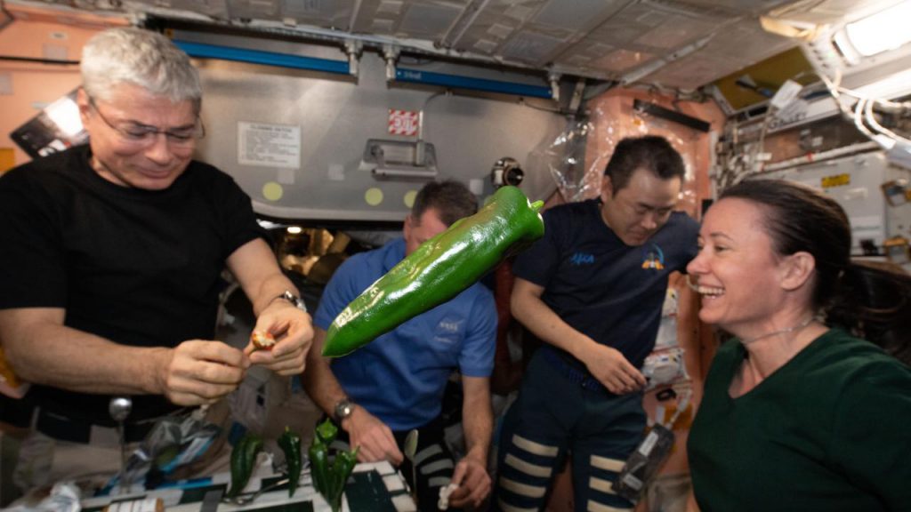 NASA astronauts pick peppers in space for the first time on the International Space Station
