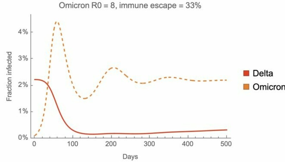 Low immunity: This model shows how omicron can spread, if the immune response is low (33 percent).  Then omikron will kill delta virus.  Photo: Twitter / Tom Bedford