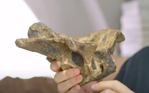 A Study of Fossils Influenced by Colonial Prejudice - Revista Galileu