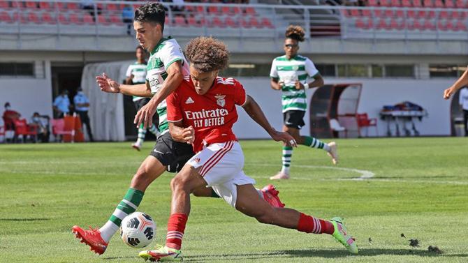 Ball - Sporting - Benfica direct (Football)
