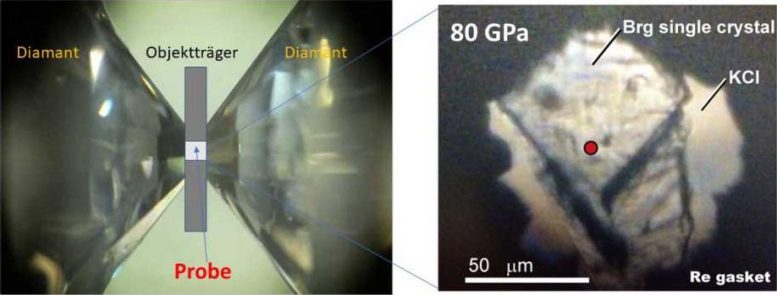 Measurement of the thermal conductivity of bridgemanite