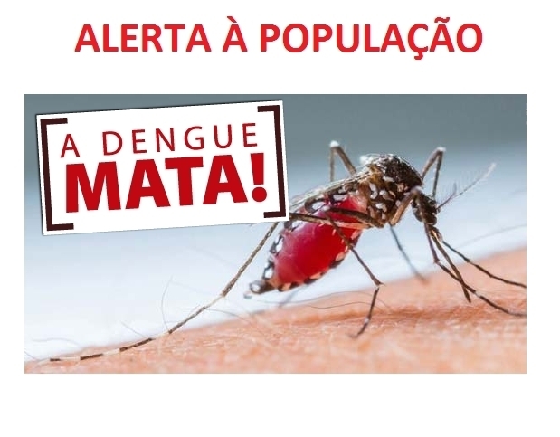 The Ministry of Health of the State of Minas Gerais warns of care in the fight against Aedes aegypti.  - G37 . news portal