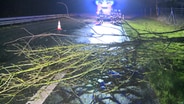 Firefighters removed a fallen tree from the road.  Photo: West Coast News