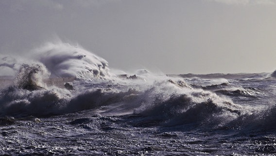 Due to Sabine storm, the waves are especially high in the Helicolland.  © Brigitte Rauch Photo: Brigitte Rauch