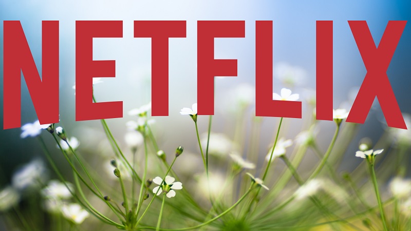 These are the premieres of movies and series on Netflix for the month of March