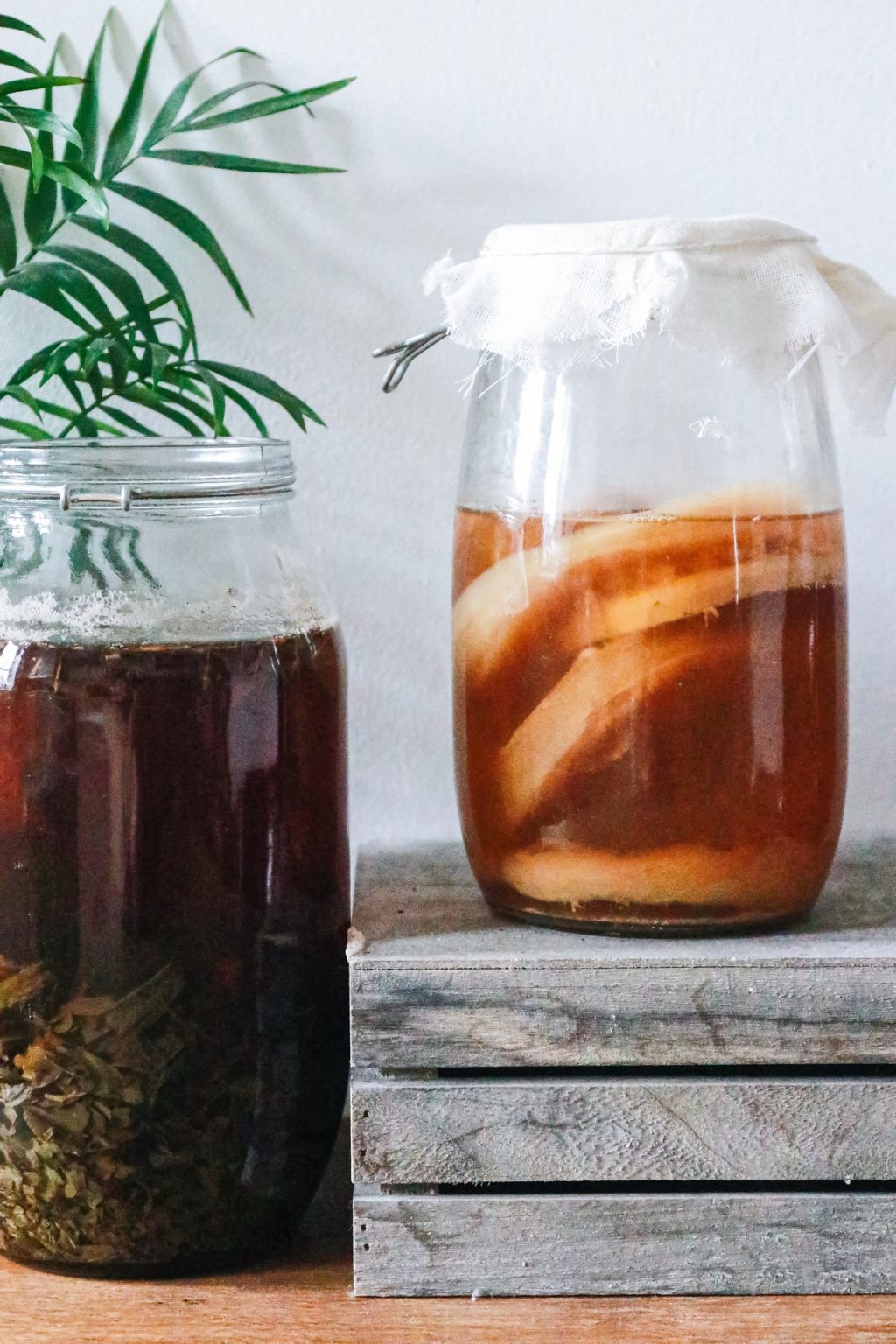 Kombucha: What is modern tea?  Is it good or bad?  Does drinking improve the health of those who consume it?  |  the health