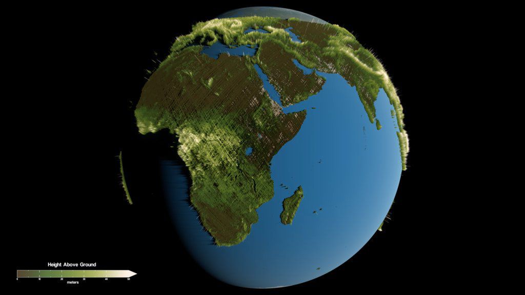 New NASA study estimates forest biomass and carbon on Earth