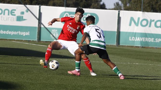 Ball - Sporting - Benfica Live (Youth League)