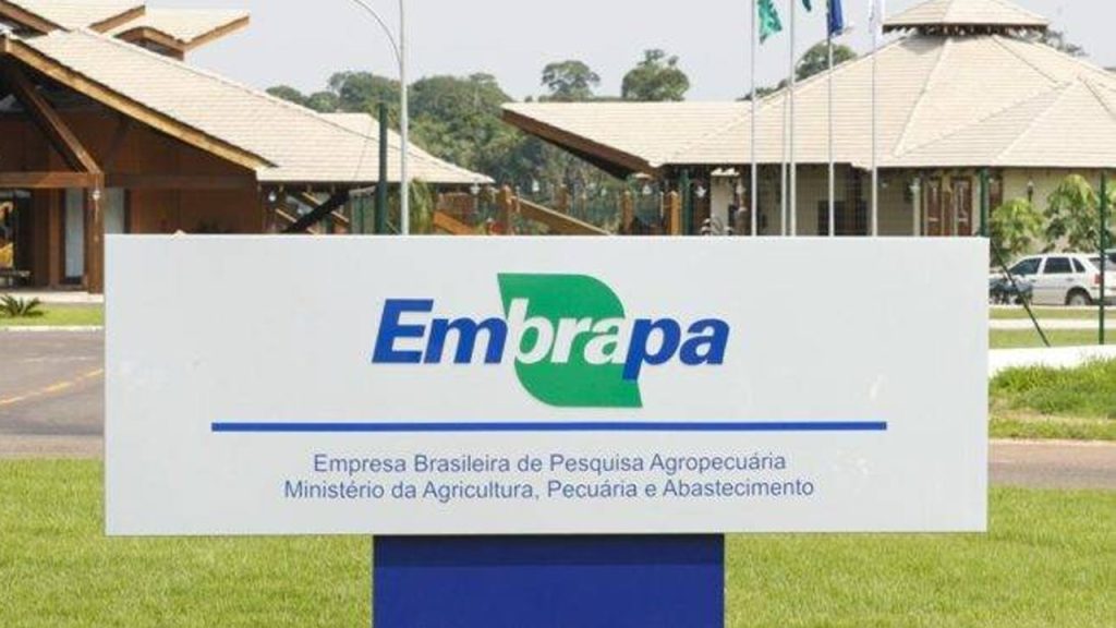 Embrapa celebrates 49 years and promotes the role of agricultural sciences...