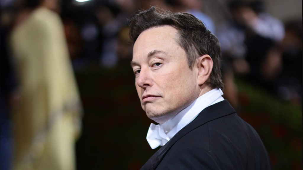 "ESG é uma fraude": Elon Musk perde 12 mil milhões em 24 horas