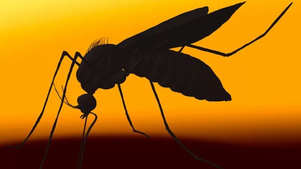Araraquara confirms two more deaths from dengue fever, reaches 12, and forms a committee to investigate the severity of the disease |  Sao Carlos and Araraquara