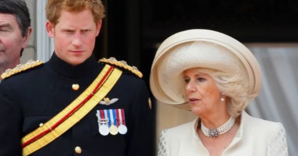 Here's Why Harry Isn't Interested In A Relationship With Camilla Parker Bowles