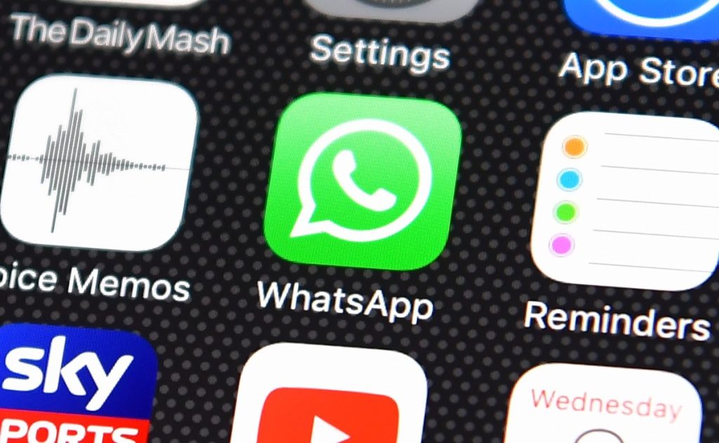 Pack with 31 new WhatsApp emojis to be released soon;  He will get new animals, food and things