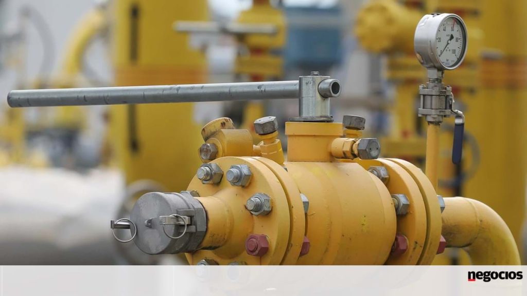 Israel could be the alternative to Europe in search of gas - Economy