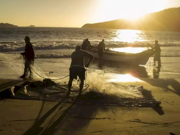 Mullet Hunting: A Tradition That Drives Science and Economy in Santa Catarina
