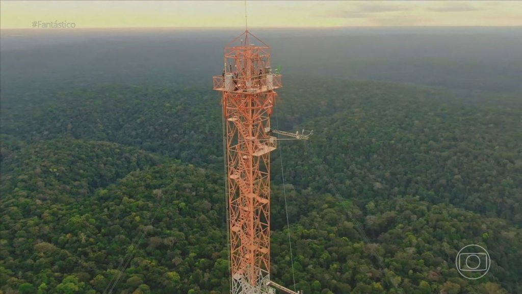 Who lives there?  Guardians of Science guard the world's largest climate research tower in the heart of the Amazon rainforest |  who lives there