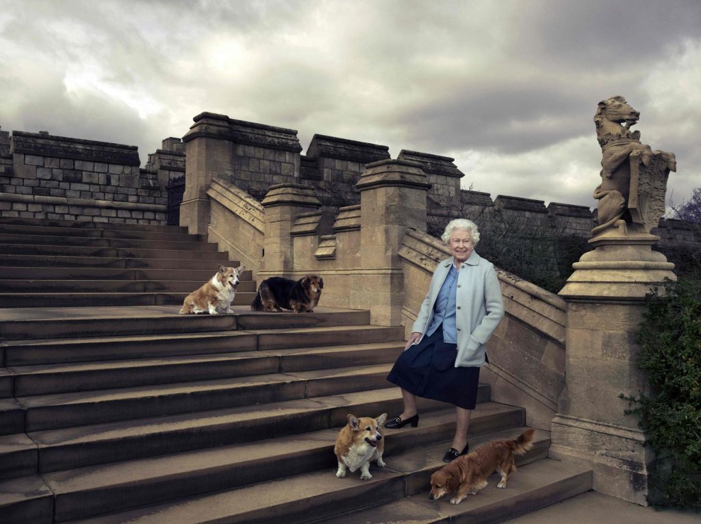 Prince Andrew "inherits" Corgi dogs Queen Elizabeth - VG