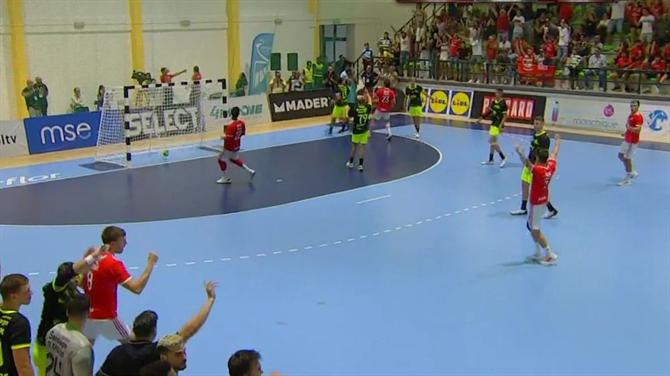 Ball - Miguel Braga criticizes the match referee with Benfica (handball)