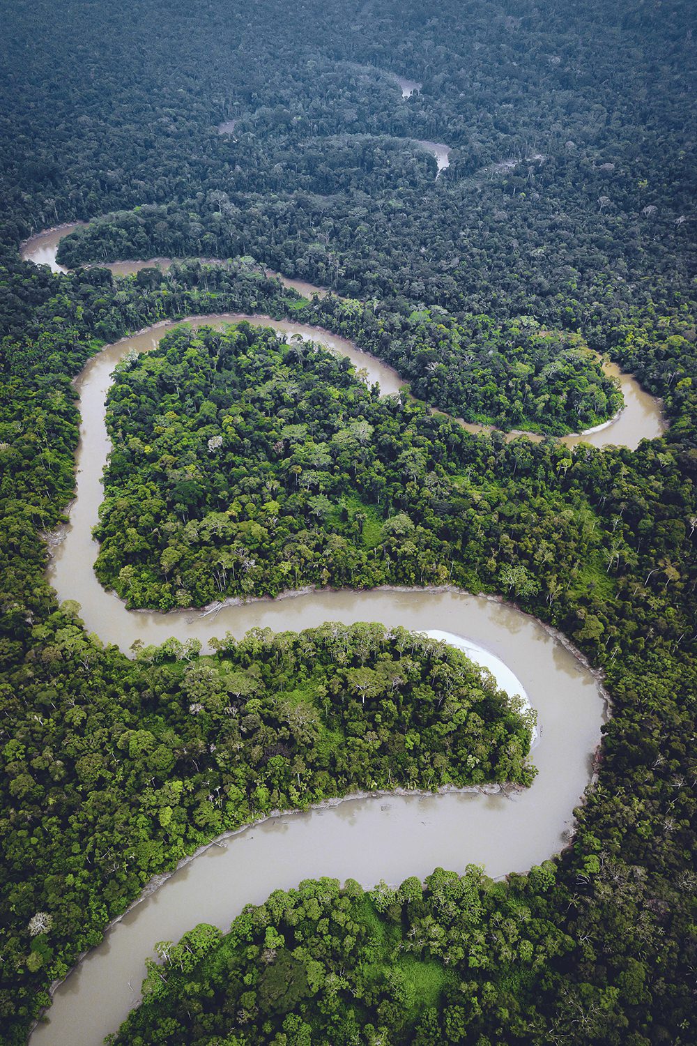 Virgin Forest - Xingu Basin: The current formation of the forest is a direct result of human action -