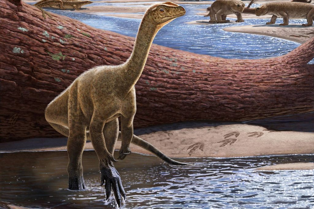 The oldest dinosaurs found in Africa - 09/03/2022 - Science