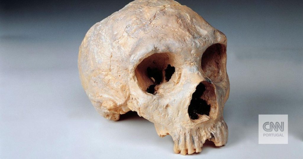 What gave modern humans an advantage over Neanderthals