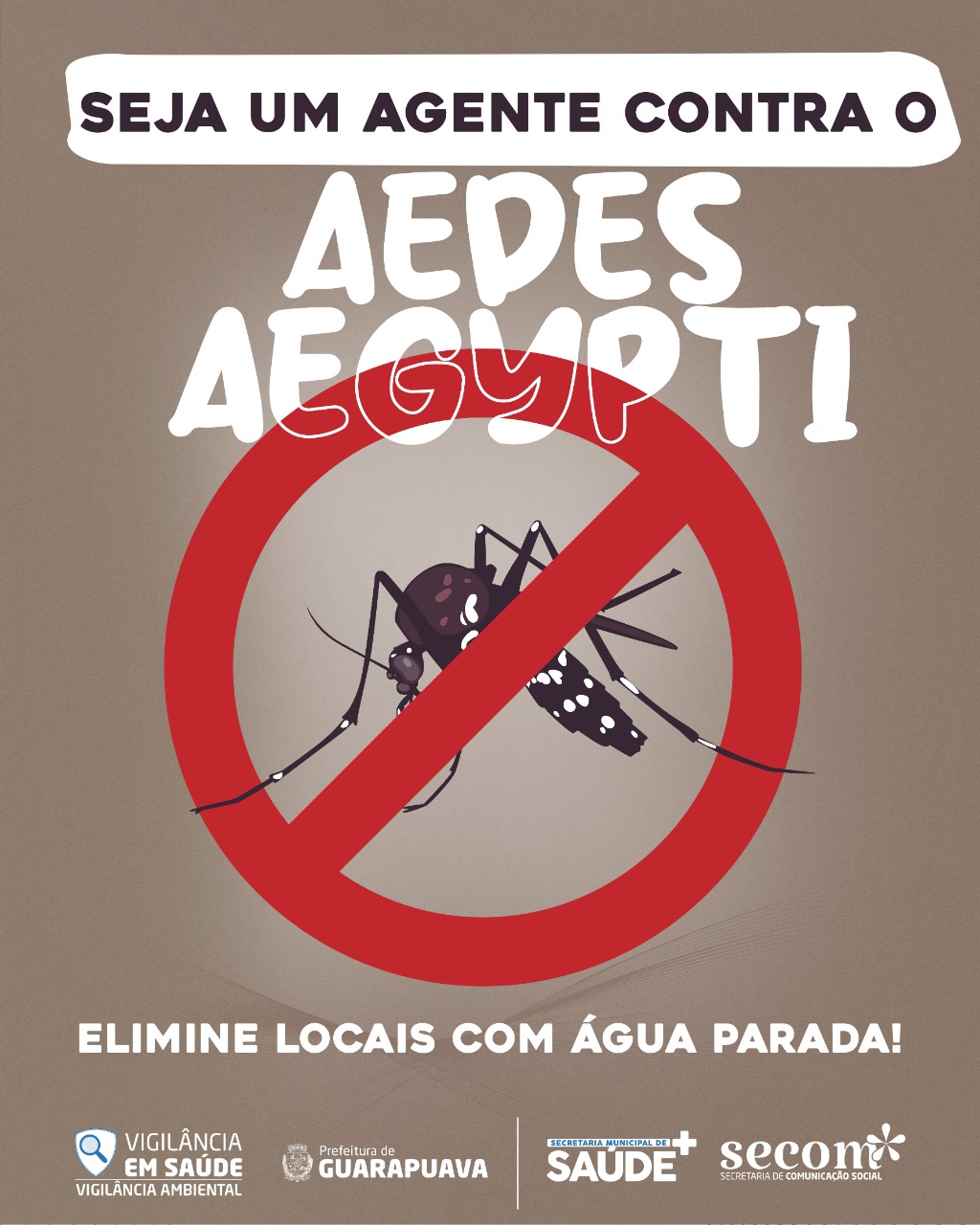 A survey will be conducted on the infestation of Aedes aegypti in Guarapuava