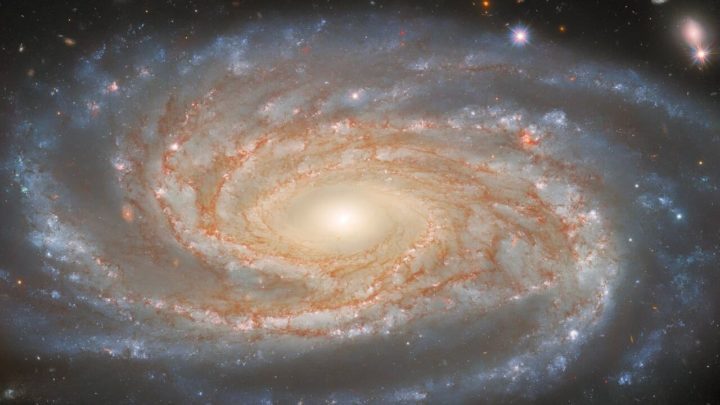 An image of the galaxy NGC 7038 captured by the Hubble Telescope