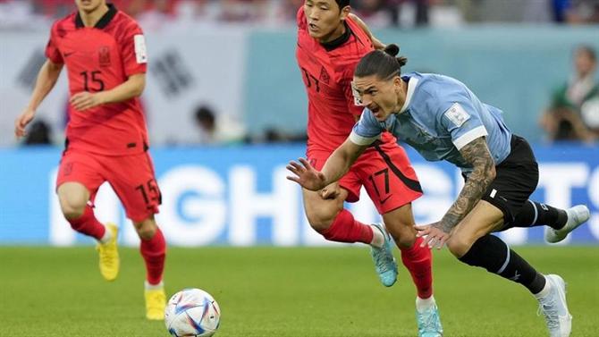 The Ball - Portugal Group: Uruguay vs South Korea (World Cup 2022)
