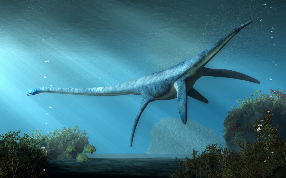 dinossauro-natacao-fossil