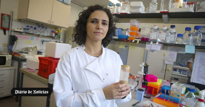A Portuguese scientist wins a grant to study the relationship between nutrition and fertility
